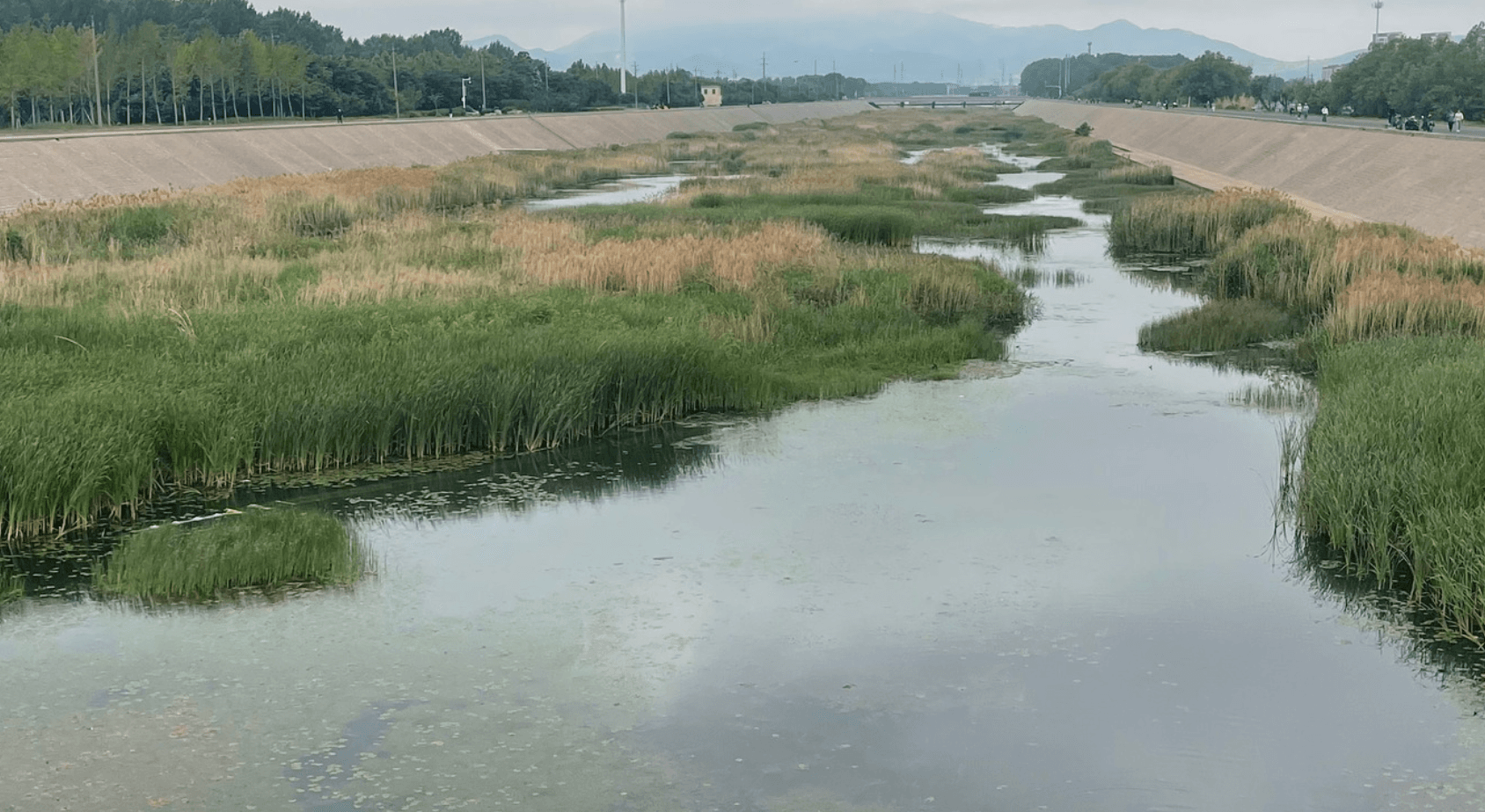 风河
